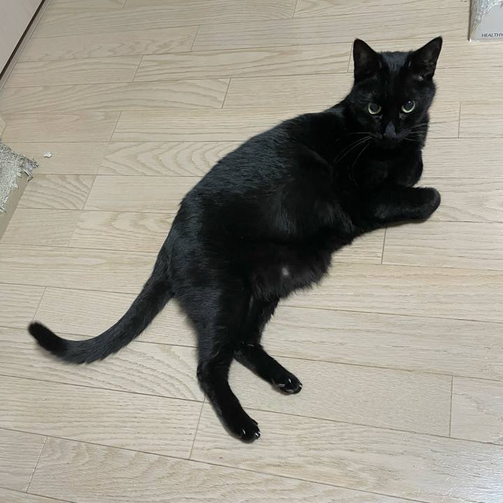 0dd75da5 94ac 4513 8392 8f6ef6044baf 1769518651504