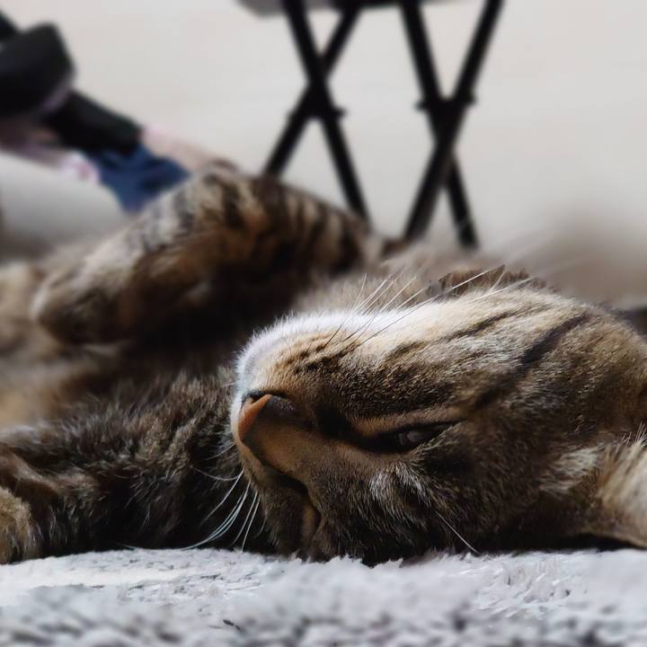 0dd7835d eadd 40c5 abda c5f8dc1fe021 1622631526076