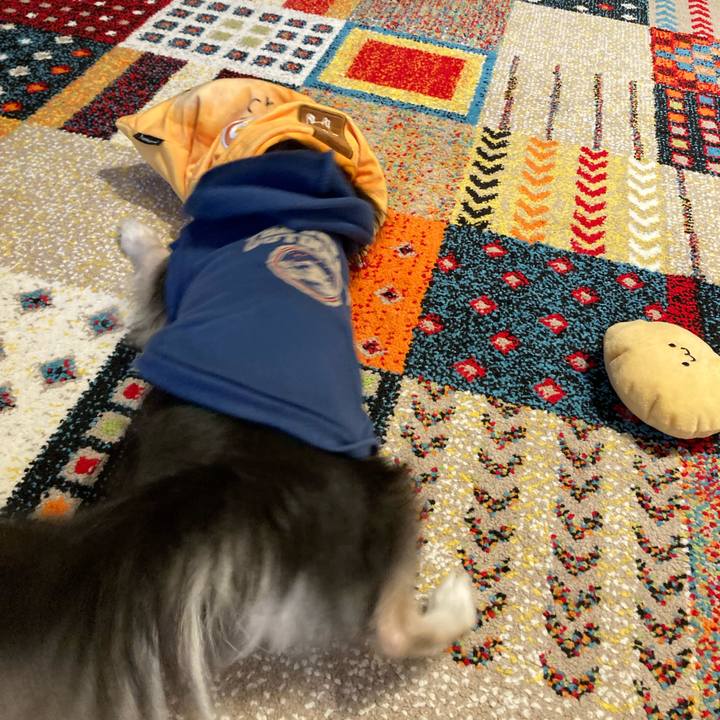 0dd79bb1 bf07 4939 beaf c683bf9686d5 1708693782112