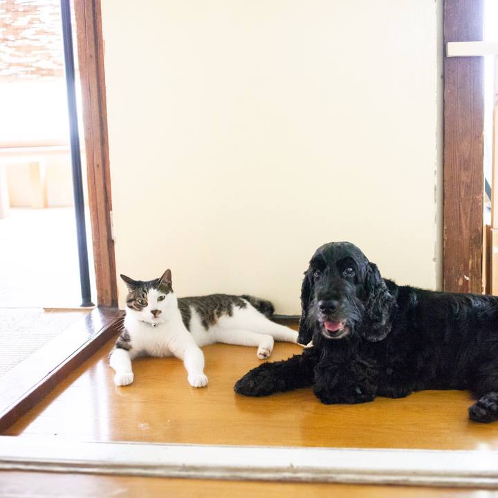 0dd7a71f 700c 4f10 8e6b 9d70d0a60f27 1564804292797