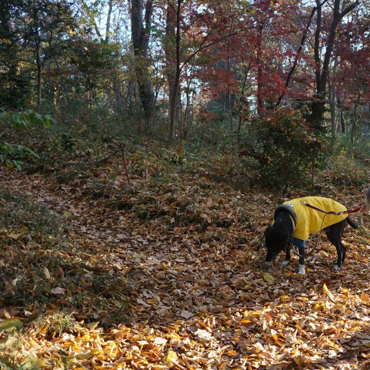 0dd858d9 b8c4 45ec aefd 648ca6a7cb30 1765064566239