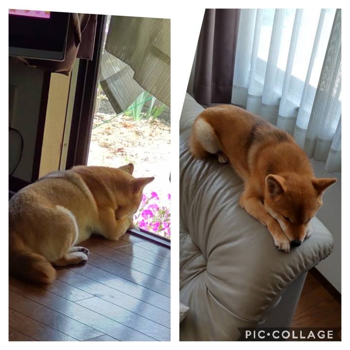 0dd88be4 da1b 4d01 ba2a 5ec3008b339b 1650426213613