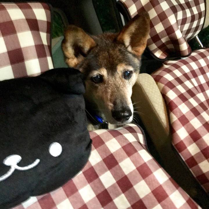 0dd8b1a3 2dfa 44aa a9f0 51f3bf00abd8 1537882475644