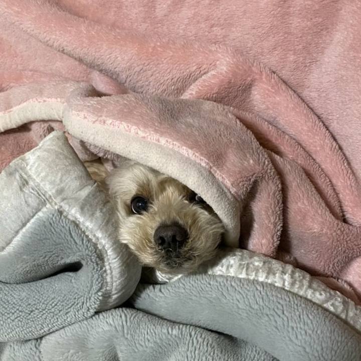 0dd8b51b 6fea 48c1 a693 89412671f3fd 1582242380701