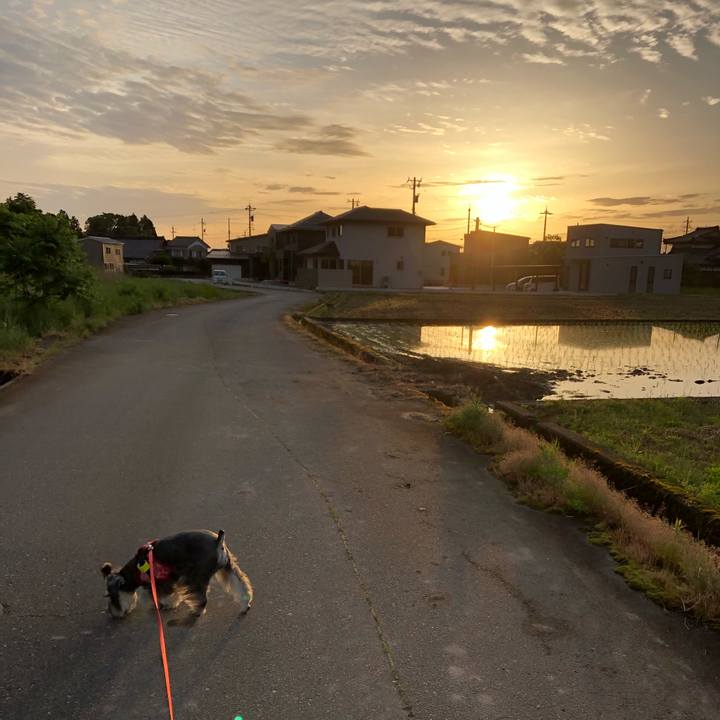 0dd8c573 9c2b 4fc6 b9d8 667f1b6444d3 1589644187672