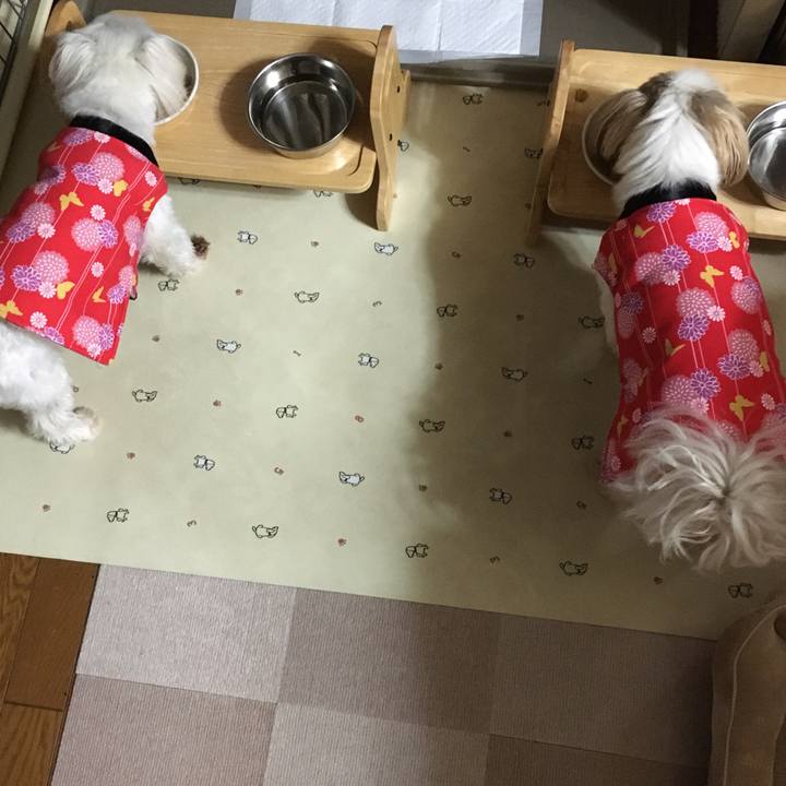 0dd8e0dc e45d 4d87 b9b7 f6d8f3b9a56f 1642157139875