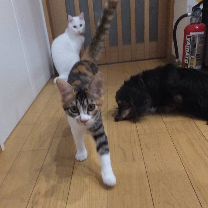 0dd91ce3 18f0 4d13 9321 20870f31f687 1631089688992