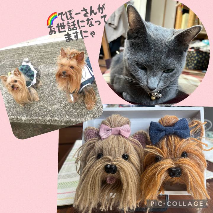 0dd92d8e 2863 4886 88db 850ee4f10fe2 1683685474534