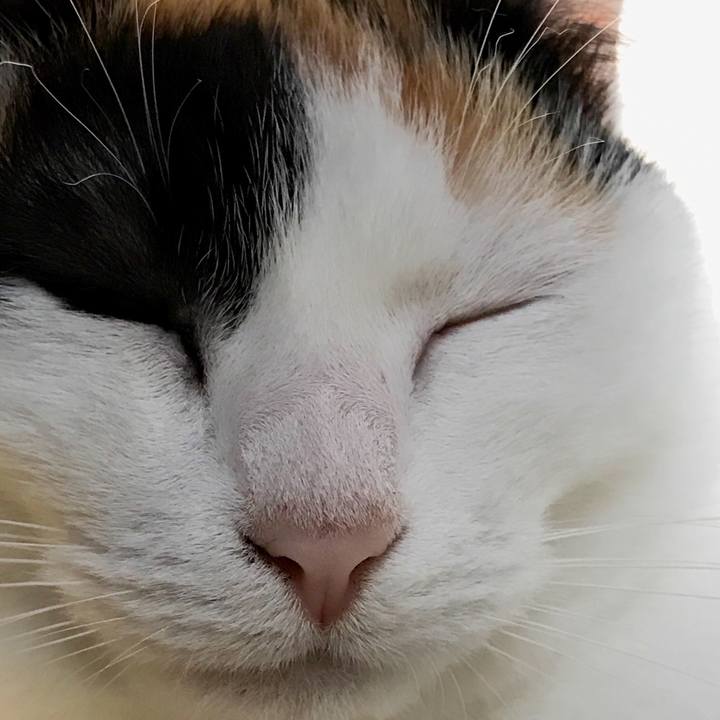 0dd94c25 a283 49aa afeb 133115686ce3 1524320766218