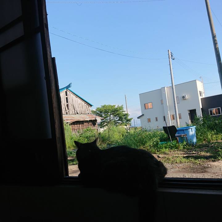 0dd98ce2 4da3 4cdd bf18 daf01ba525f5 1661670647683