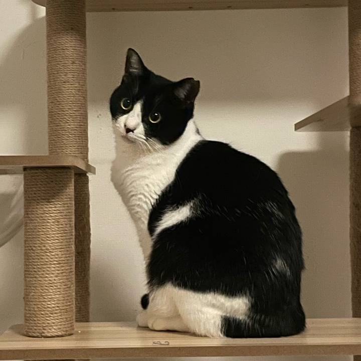 0dd9d147 9c82 401d be2f 06f1b594f112 1737711188535