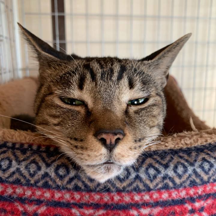 0dd9ef06 4b32 4447 996b dc86f5287a21 1546995169482