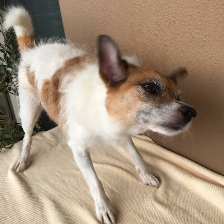 0dda25be 106b 4a41 8656 482d5857d922 1566618003920