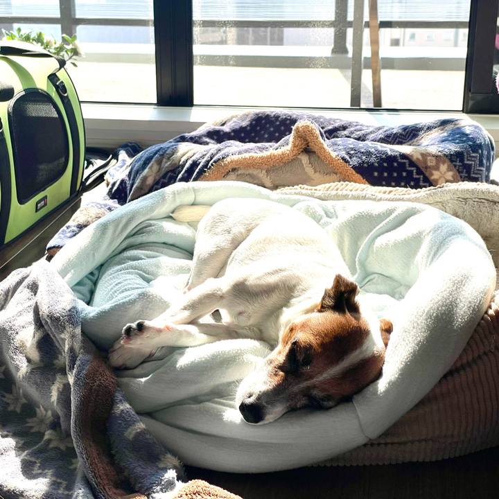 0dda2aef 7cc7 40ab b554 2e17617cdbc7 1747954277583