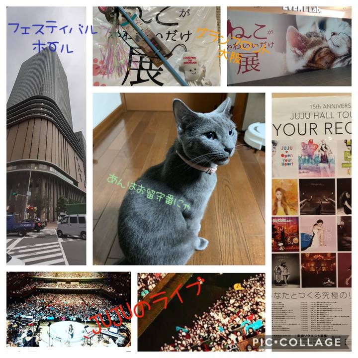 0ddadd5a 01eb 412a 807b a9983893f6a1 1567092850052