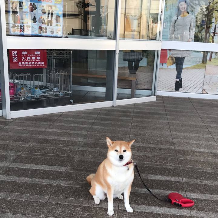 0ddb1e98 bc78 46cb bd82 d7b0ac1c2316 1541600224480