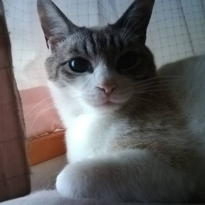 0ddb46c5 dac6 4521 95f2 c73a07fb16b8 1589534597422