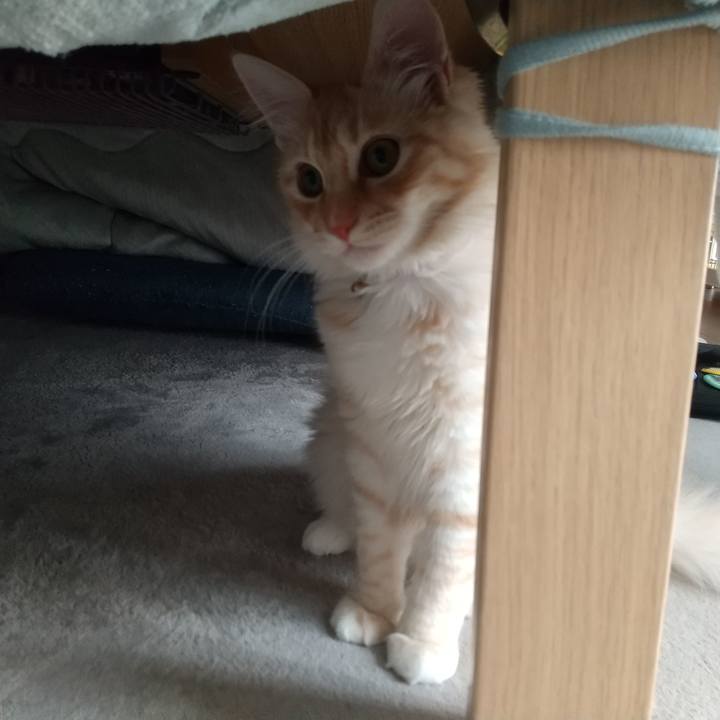 0ddb5199 088b 4787 a3ed 8f5afce4b5b4 1614219276123