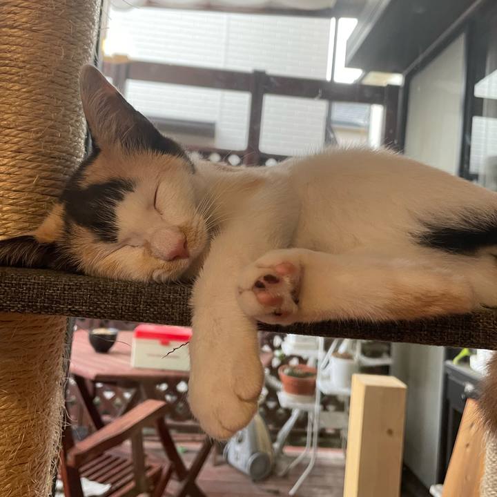 0ddb68fa 81c7 40bc be39 d6a8f994959b 1663572550471