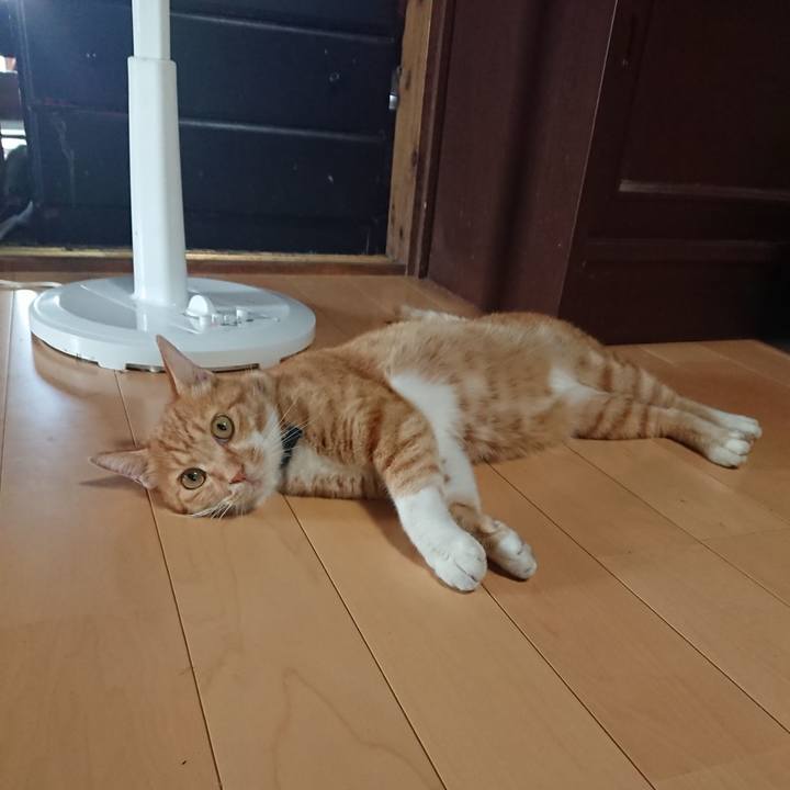 0ddb76ff 8f23 48f9 8f29 7ffc4b52c05a 1598225129415