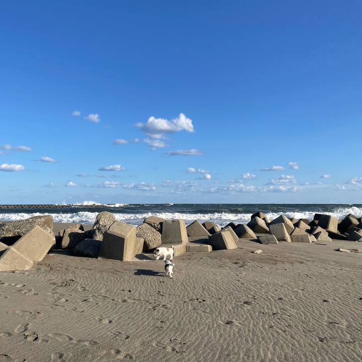 0ddb7f75 47bc 464f 9690 81e6241b0a22 1696294260969