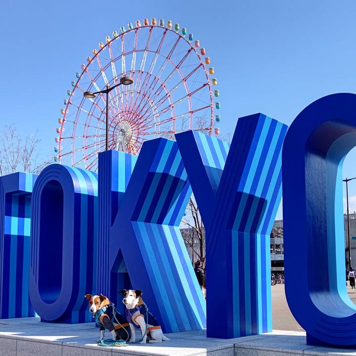 0ddba4db f704 4d0b a219 184a9f7fed40 1645956659450