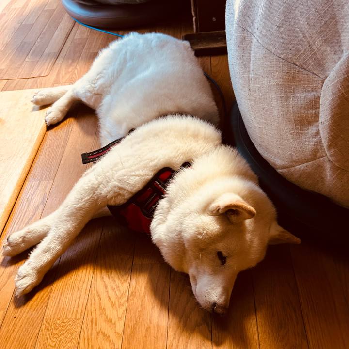 0ddbade0 071c 4b9e a5bd fc296f912cb5 1768084380763