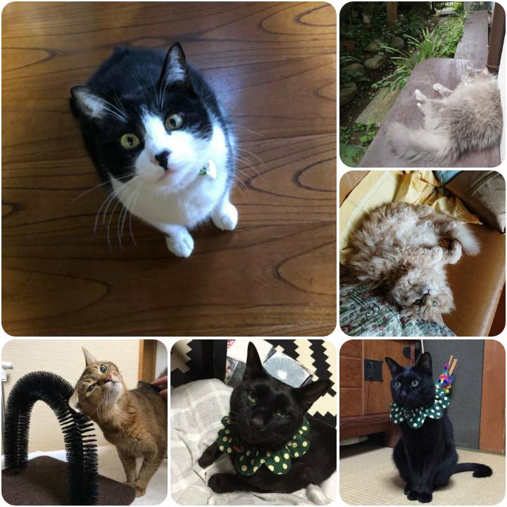 0ddbe252 0bdb 4152 8c88 ff931b69139d 1559555672656