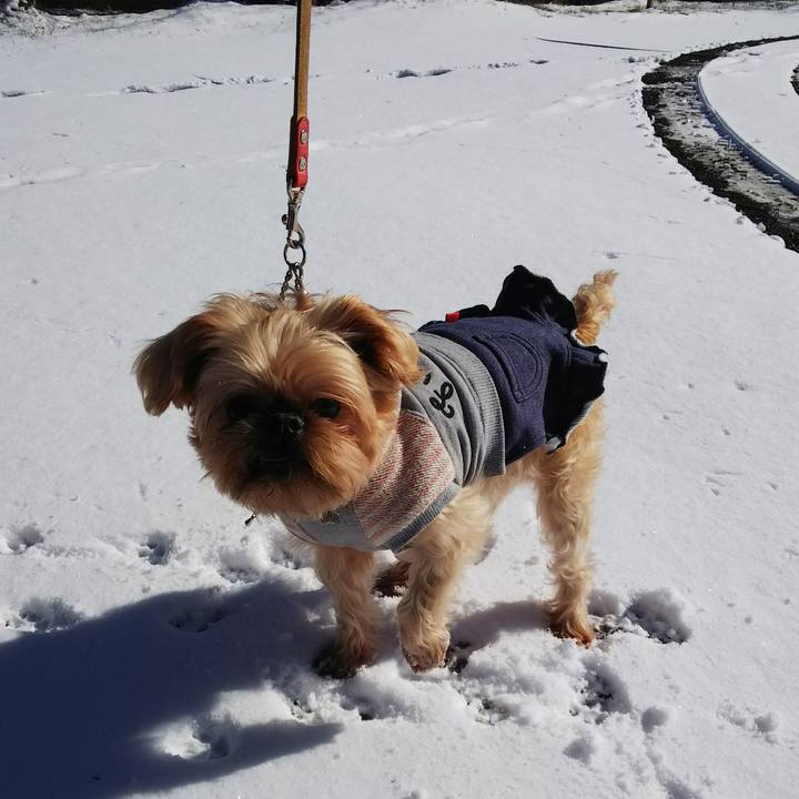 0ddc579a 0181 43d5 bcc7 5acd63f9d8e3 1511234881702