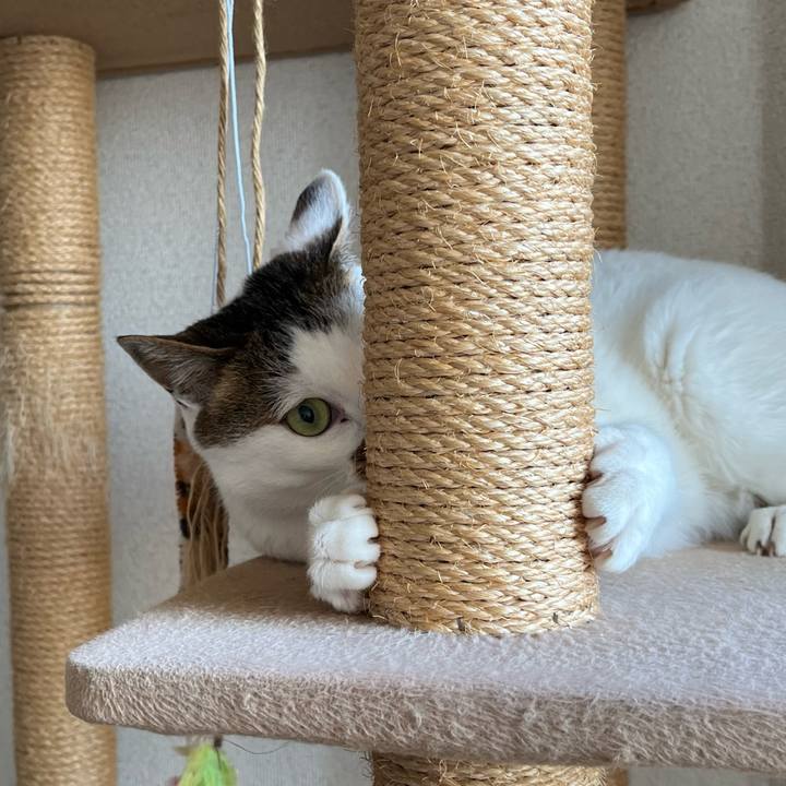 0ddc5f99 21fe 402a 93f2 3fbb263e99a3 1642155219380