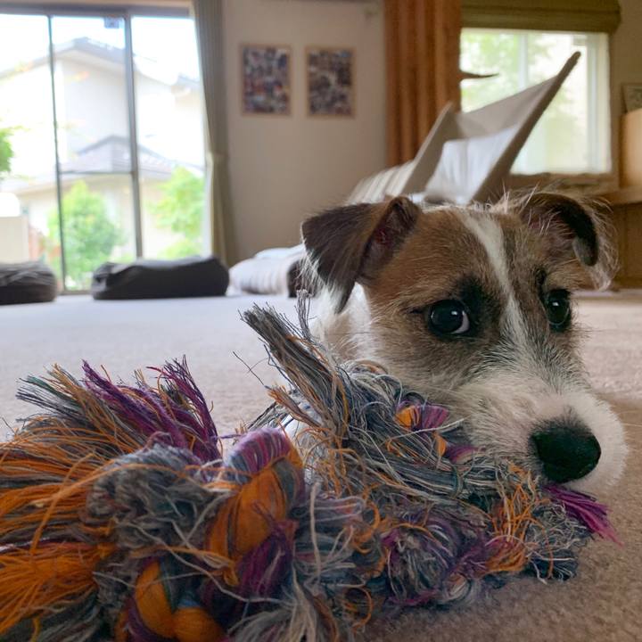 0ddc75de f0ea 480c ab3b fbb9bbbee0d0 1562136571395