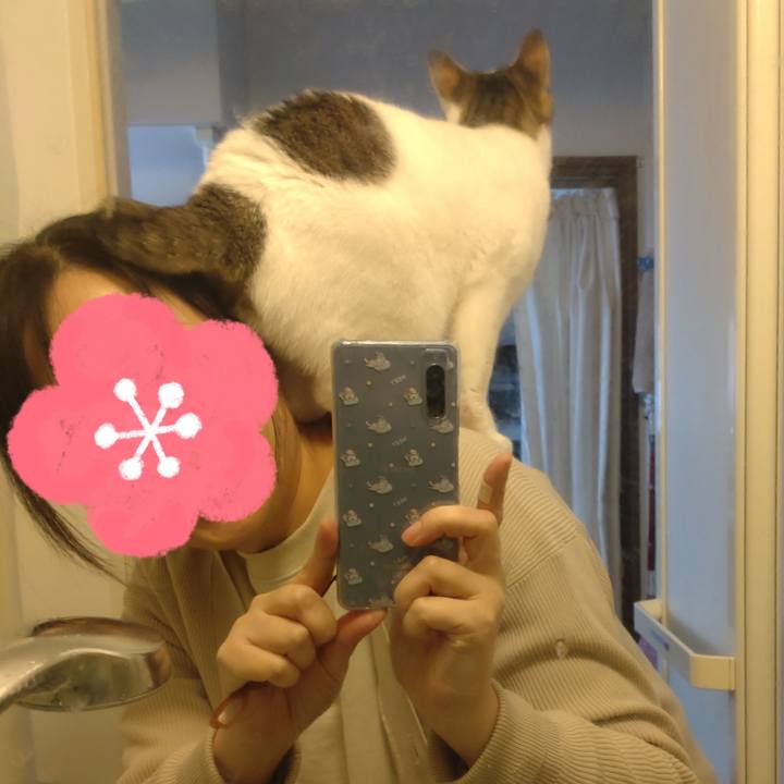 0ddc7c5b 83d2 462e 8c14 628700ec0d30 1704089001741