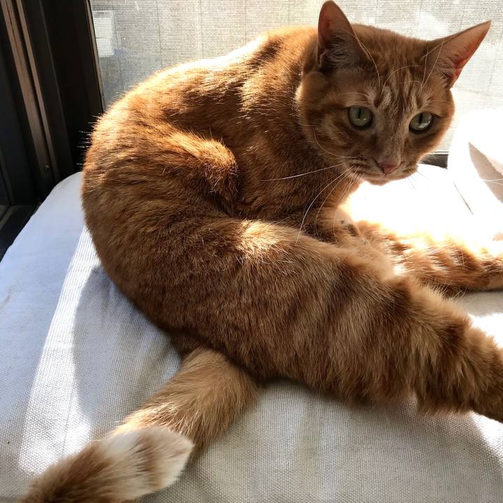 0ddc816b 5e5c 4127 b95c fb1f701ed0f7 1515652946513