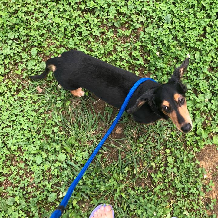 0ddc9a76 d5b5 4182 9ca0 2fde3fd3e98f 1537684000520