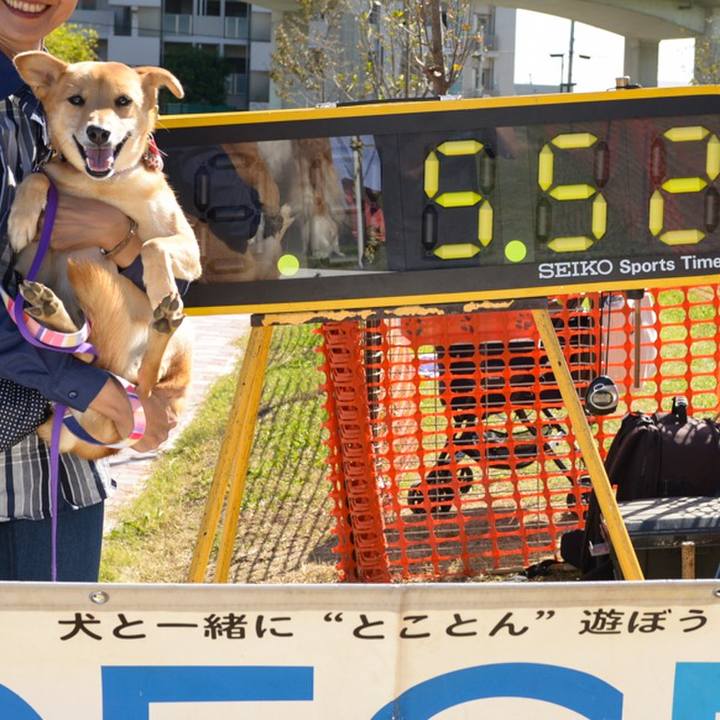 0ddccad3 3f1a 4334 b7a3 ea61ab99b73b 1540608060972