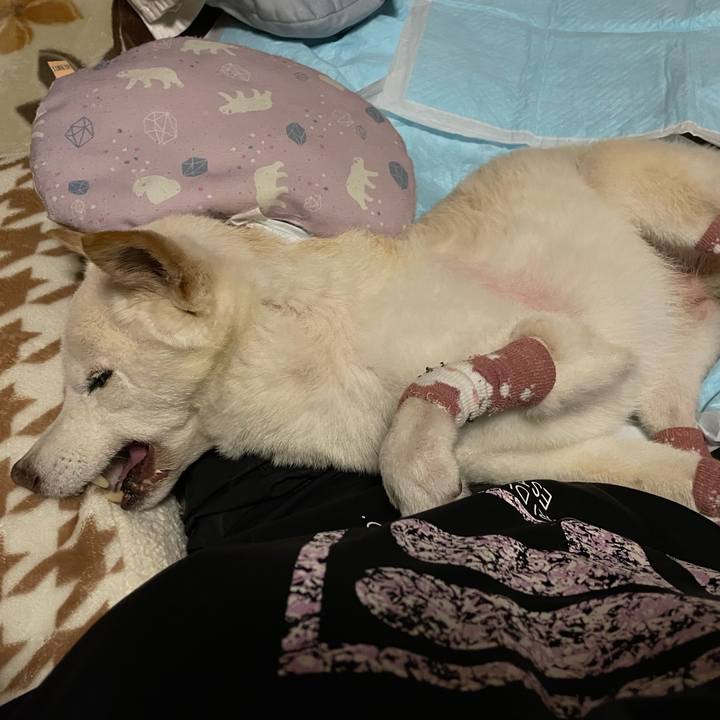 0ddcde85 94c1 45de b5f7 00ec6d5b3a82 1684762351045