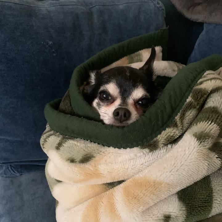 0ddcdfce 1331 495a b4dd 18d987fddba0 1676768917609