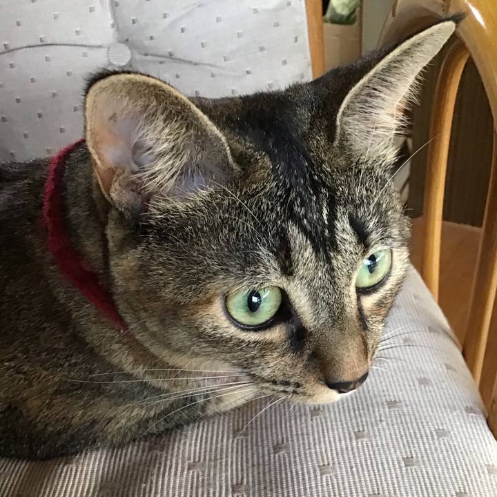 0ddd0186 636a 4a28 af69 8fcd01b34d5f 1598865132189