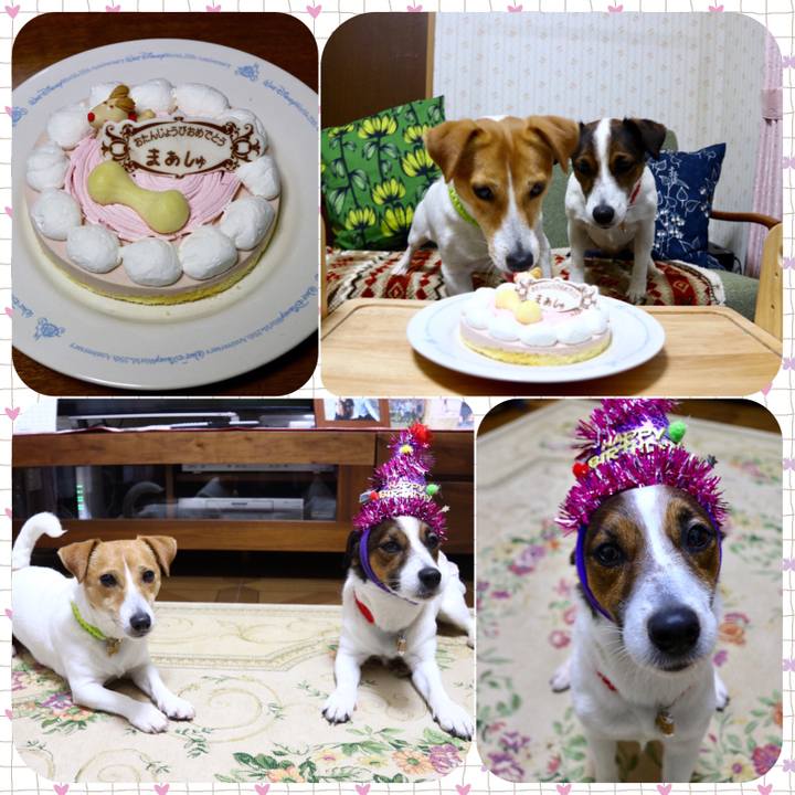 0ddd0a78 c34b 4070 8239 011fc0f61161 1554891488236