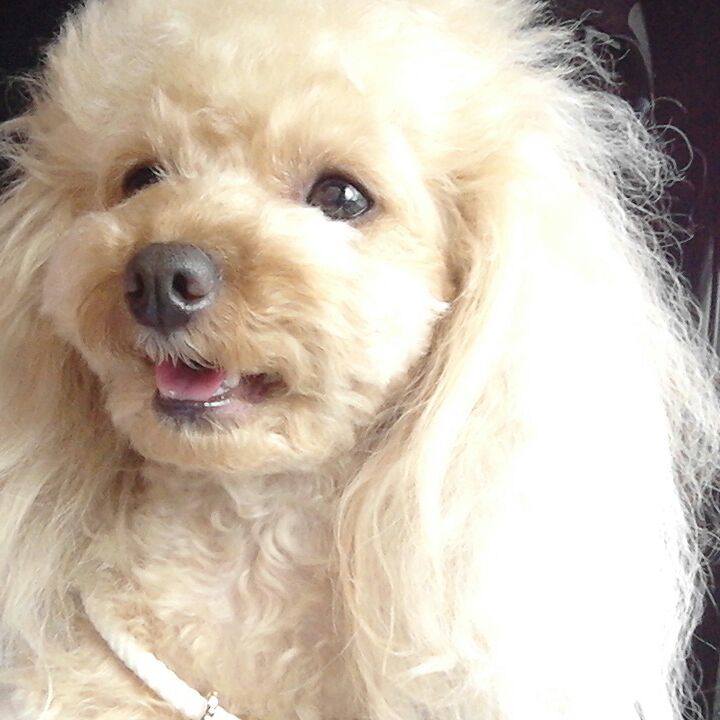 0ddd245f 9f29 47c0 81cf ac326bb27ebc 1535884837327