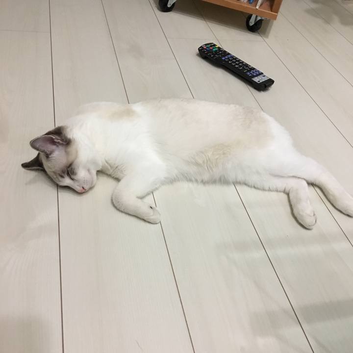 0ddd2f09 4430 4e09 942d ddfc51b440d5 1513339664196