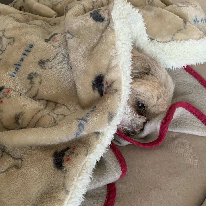 0ddd31bc a247 41c0 bdf9 e60d8d5fc841 1700755509581