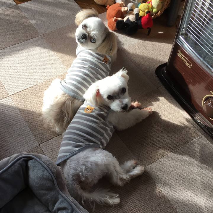 0ddd3eb7 101b 4a6e ac20 55a9a5f7a049 1606628043438