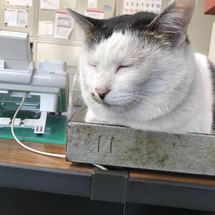 0ddd6ebb b7b3 4c82 b45b ffde4452ab91 1519707184573