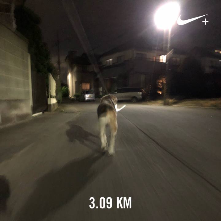 0ddd886f 61e4 48ef abb9 a9f482c17a31 1568813235201