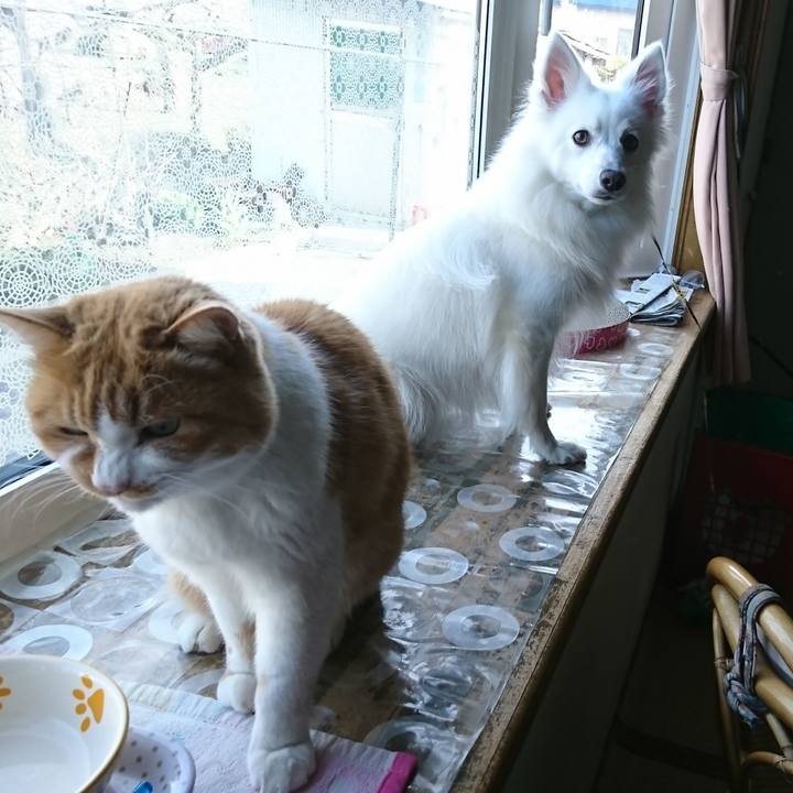 0dddc11d ce4a 4ba1 9572 d95f7fa8adc6 1556438528983