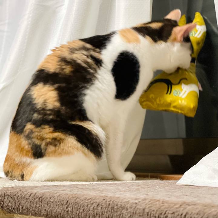 0dddde11 6794 4c50 8a1b e2edec1eab0b 1620354627235