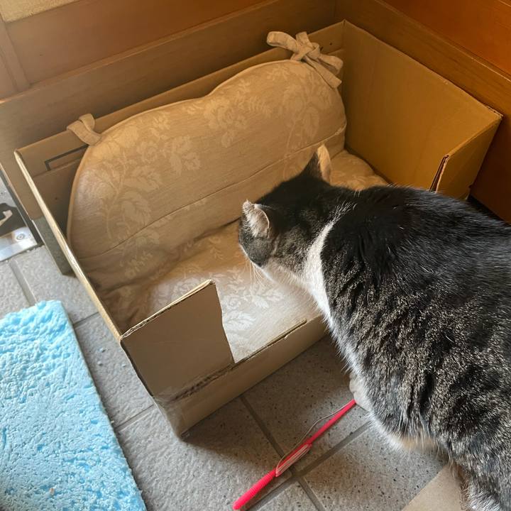 0ddde264 fab4 4d0b baa5 35f8c08e1826 1611976732400