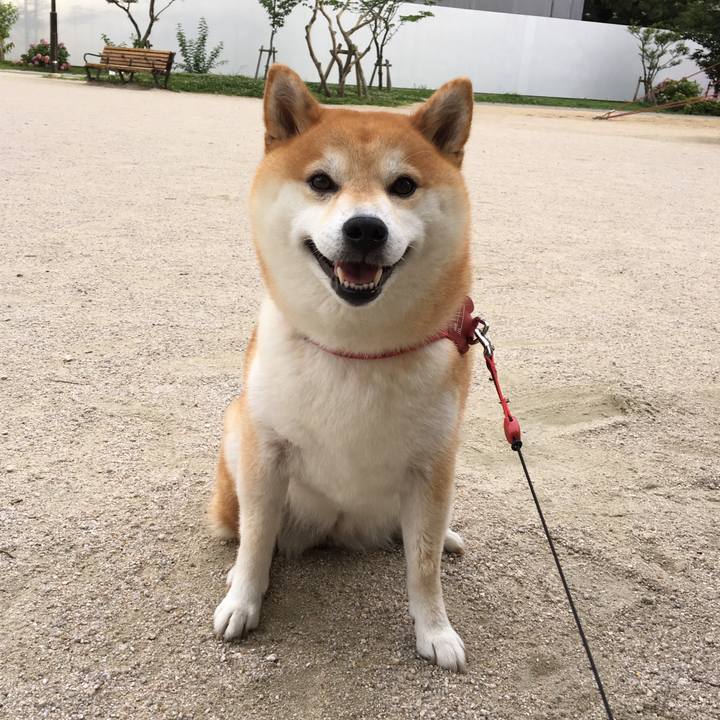 0ddde61c 8932 46c7 93d8 0bd0568f6eec 1540170925279