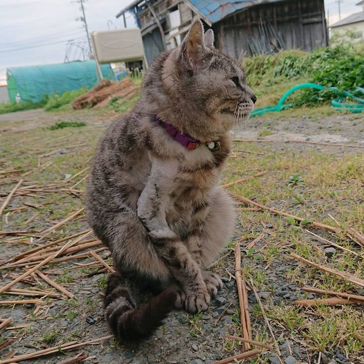 0ddde691 8634 41a7 bca2 9980ec4777df 1589662327370